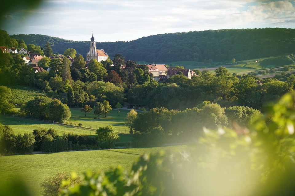 weinwandeln-landschaft